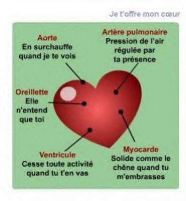 mdr
