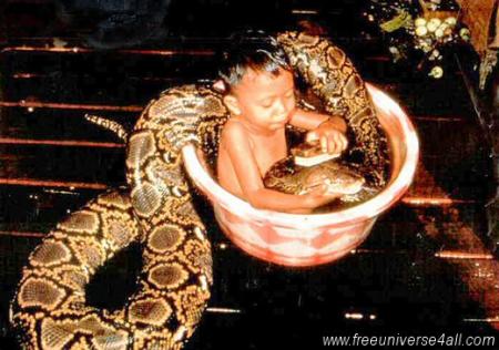 images choquantes