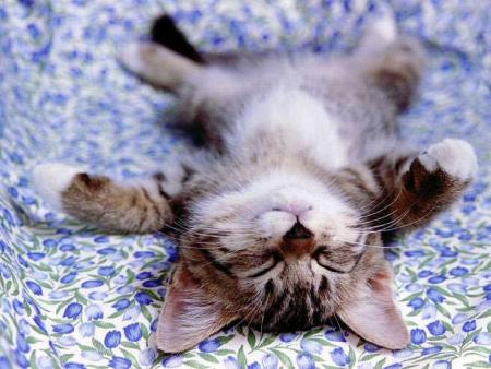 juste mignon