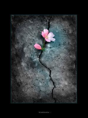 Lacte juste
