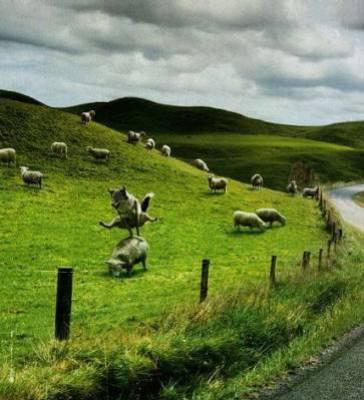 saute-mouton