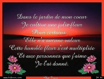 bon dimanche