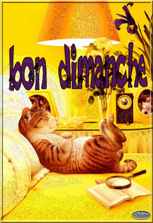 repos total