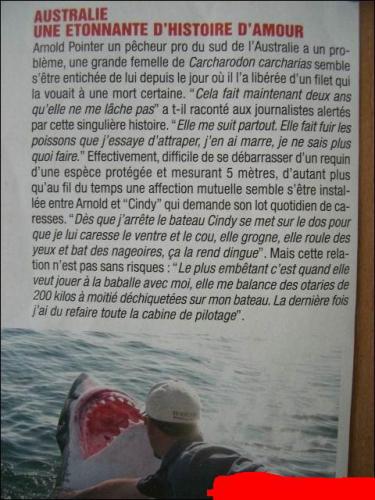 histoire d'amour étonnante