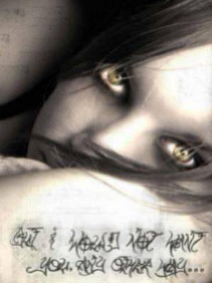 le beau regard