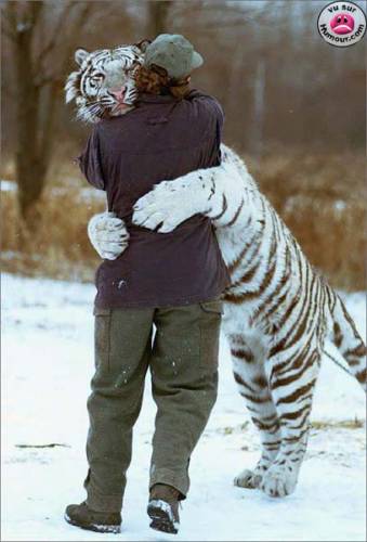 un gros calin