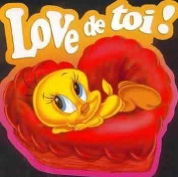 pour titi