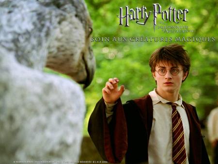 harry potter