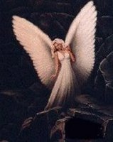 bete a plumes