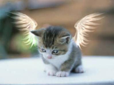 j'adoreeeeeeeeeeeeeeeeeeee