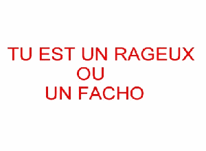 pour les racistes