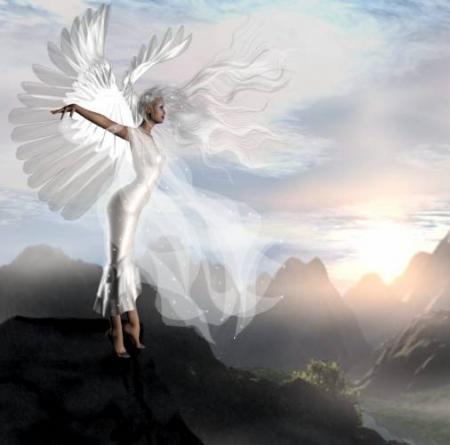 L'ENVOL DE L'ANGE