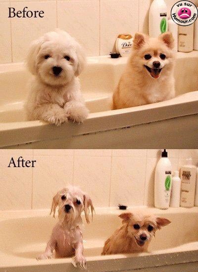 l'heure du bain