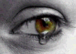 les yeux