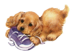 les chiens vous aiment