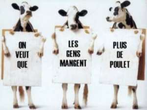 mdr