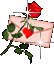 une rose rouge