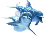 les dauphins