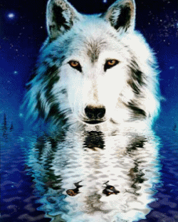 beau regard