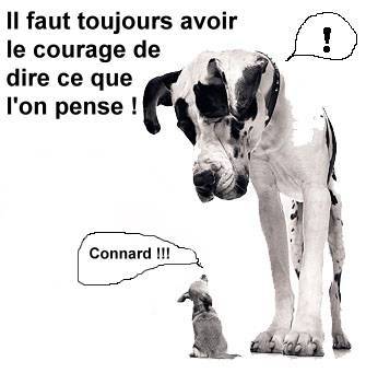 celle la trop belle