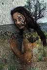 bravo au photographe