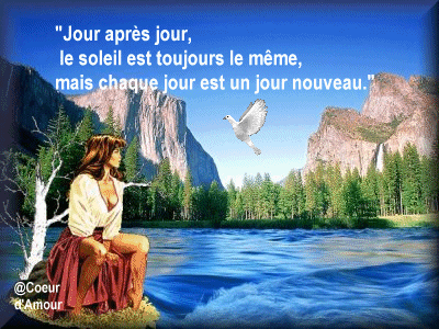 la phrase du jour