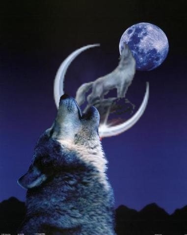 les loups
