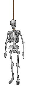 roooooooooooooo