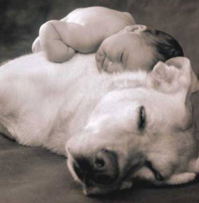 mignon tout plein