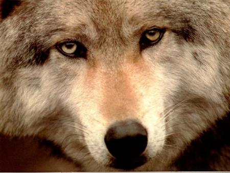 un regard
