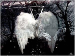un ange passe