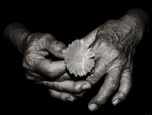 Comme des roses