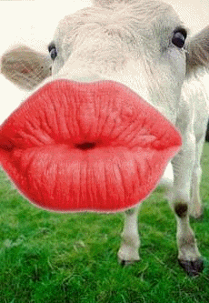 des bisous